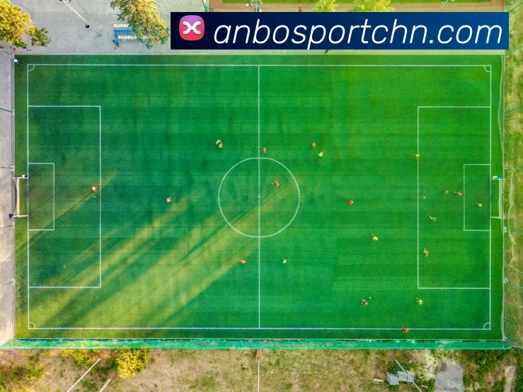 App Interface Preview