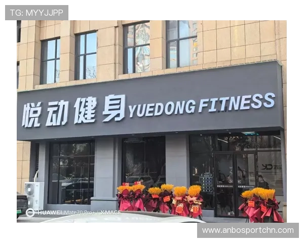 悦动健身器材:悦动品牌健身器材的创新与市场趋势